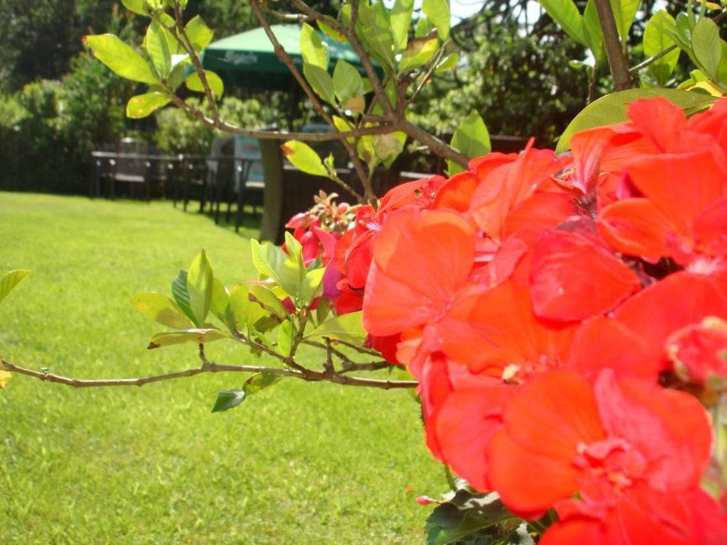 Hotel Al Fiume Tegna ห้อง รูปภาพ